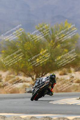 media/Apr-10-2022-SoCal Trackdays (Sun) [[f104b12566]]/Turn 5 Tree of Life (1040am)/